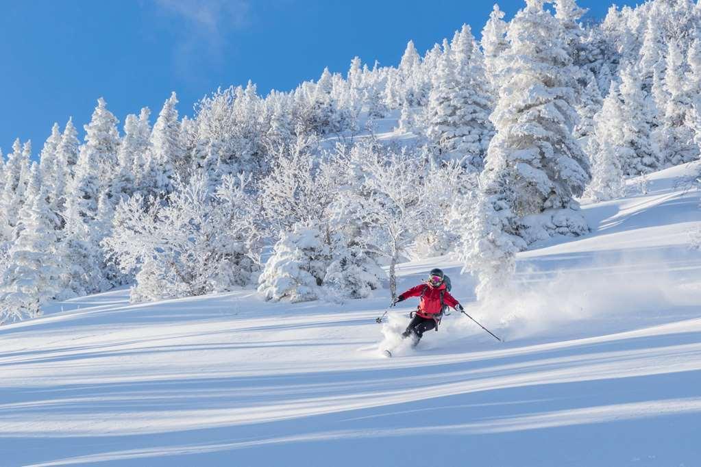 Auberge De Montagne Des Chic-Chocs Mountain Lodge - Sepaq Sainte Anne-des-Chênes Ανέσεις φωτογραφία