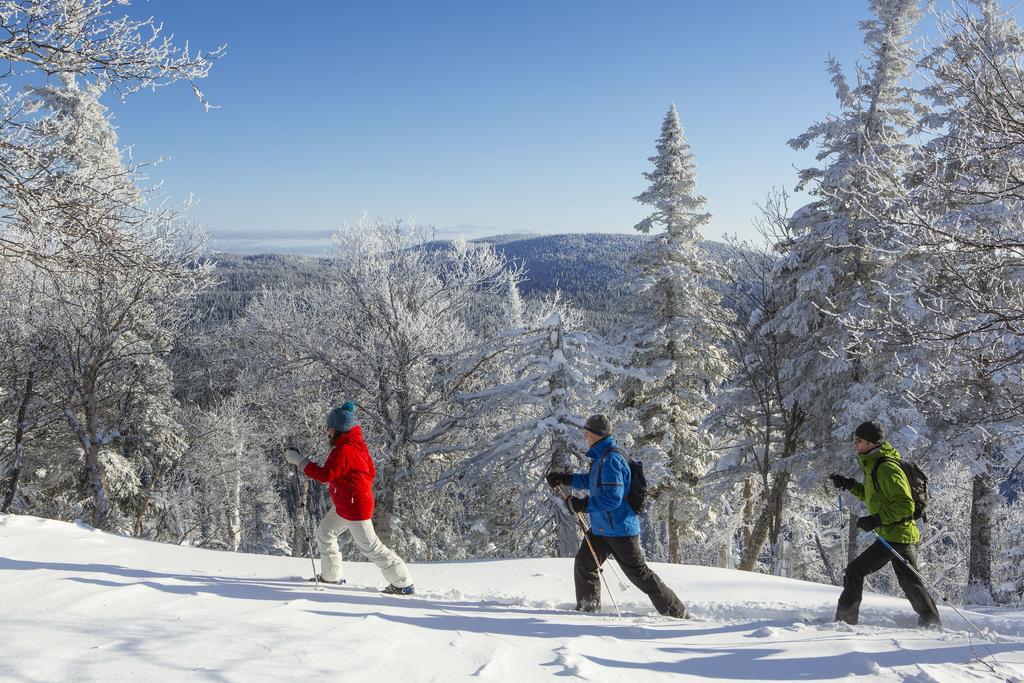 Auberge De Montagne Des Chic-Chocs Mountain Lodge - Sepaq Sainte Anne-des-Chênes Εξωτερικό φωτογραφία